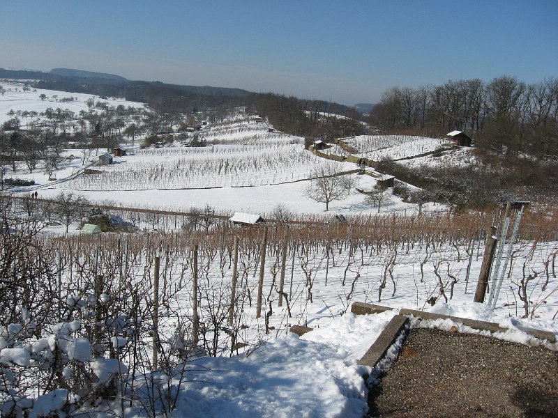 IMG_0234.JPG - Winterlandschaft bei Maulbronn